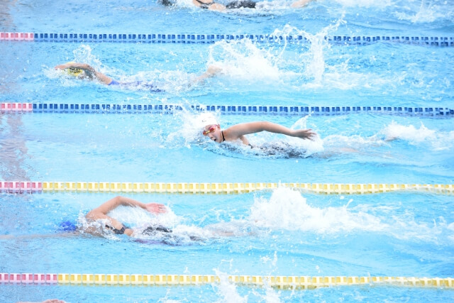 水泳のレース